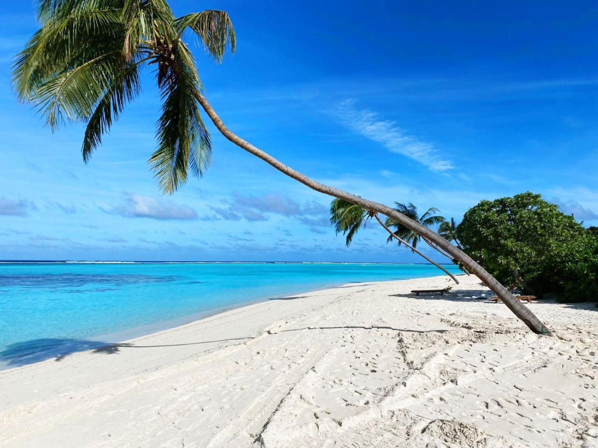 Serene Sky Guest House Thoddoo Luaran gambar